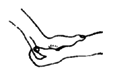 heel cord 2